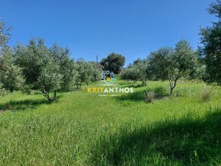 Οικόπεδο 4.620 τ.μ. για πώληση, Ν. Ρεθύμνου, Αρκάδι-thumb-13