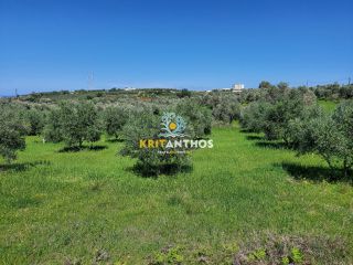Οικόπεδο 4.620 τ.μ. για πώληση, Ν. Ρεθύμνου, Αρκάδι-thumb-14