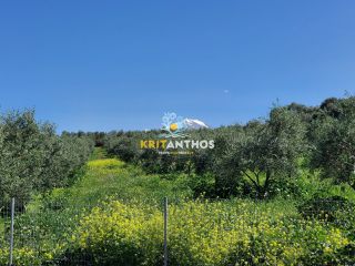 Οικόπεδο 4.620 τ.μ. για πώληση, Ν. Ρεθύμνου, Αρκάδι-thumb-15
