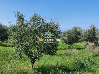 Οικόπεδο 4.620 τ.μ. για πώληση, Ν. Ρεθύμνου, Αρκάδι-thumb-16