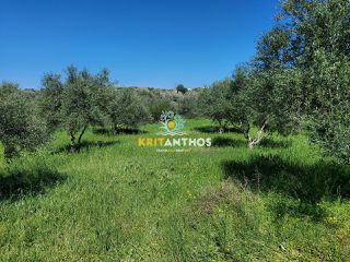 Οικόπεδο 4.620 τ.μ. για πώληση, Ν. Ρεθύμνου, Αρκάδι-thumb-17