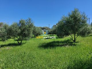 Οικόπεδο 4.620 τ.μ. για πώληση, Ν. Ρεθύμνου, Αρκάδι-thumb-18