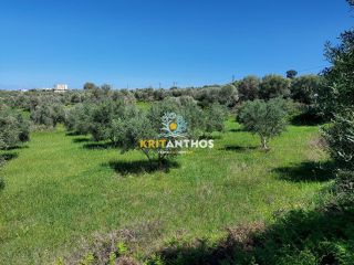 Οικόπεδο 4.620 τ.μ. για πώληση, Ν. Ρεθύμνου, Αρκάδι-thumb-19