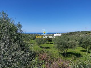 Οικόπεδο 4.620 τ.μ. για πώληση, Ν. Ρεθύμνου, Αρκάδι-thumb-21