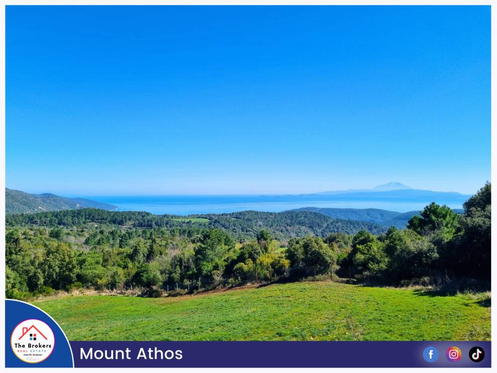 Αγροτεμάχια 8.000 τ.μ. πρός πώληση, Χαλκιδική, Σταγείρων - Ακάνθου