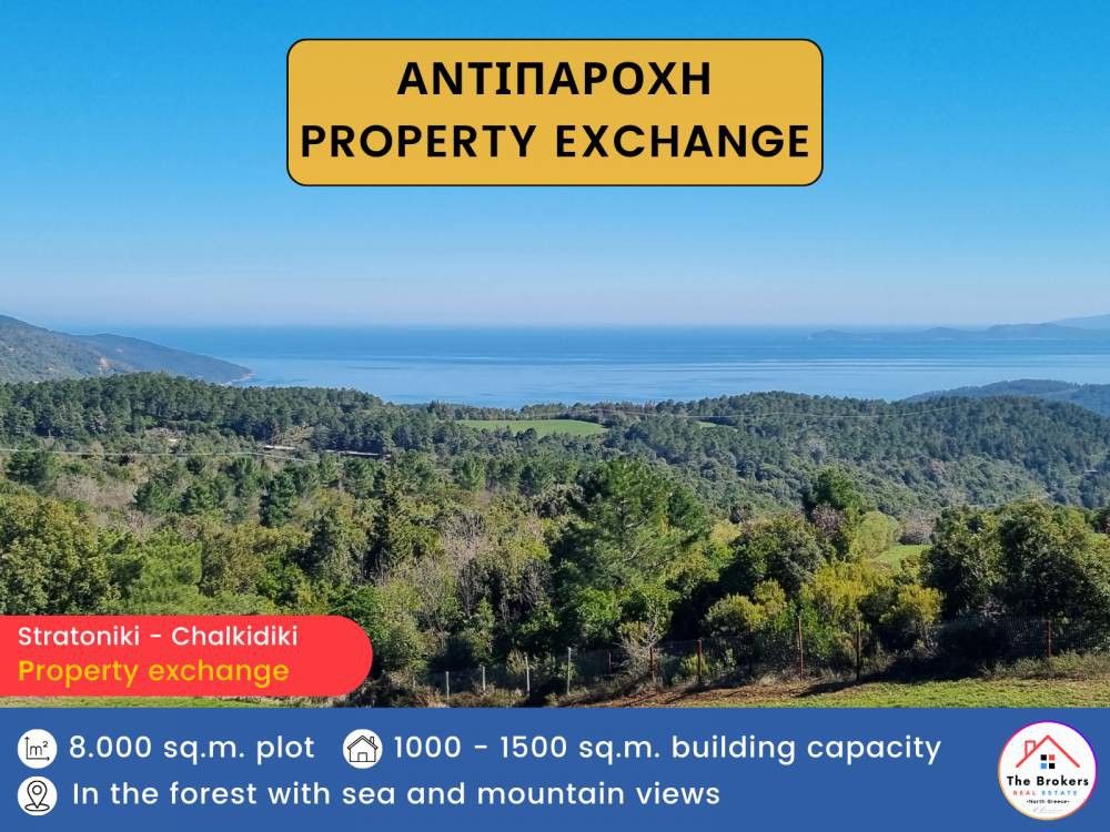 Αγροτεμάχια 8.000 τ.μ. πρός πώληση, Χαλκιδική, Σταγείρων - Ακάνθου
