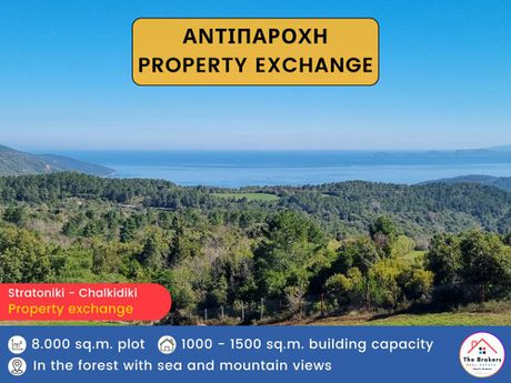 Parcel 8.000sqm for sale-Stagiron - Akanthou » Stratoniki
