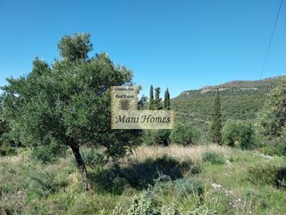 Οικόπεδο 1.330 τ.μ. προς πώληση, Μεσσηνία, Λεύκτρος-thumb-9