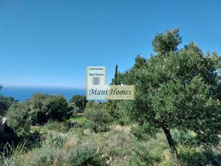 Οικόπεδο 1.330 τ.μ. προς πώληση, Μεσσηνία, Λεύκτρος-thumb-8