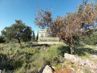 Οικόπεδο 1.330 τ.μ. προς πώληση, Μεσσηνία, Λεύκτρος-thumb-5