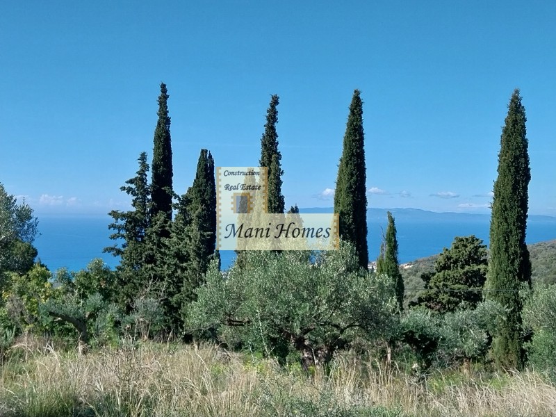 Οικόπεδο 1.330 τ.μ. προς πώληση, Μεσσηνία, Λεύκτρος