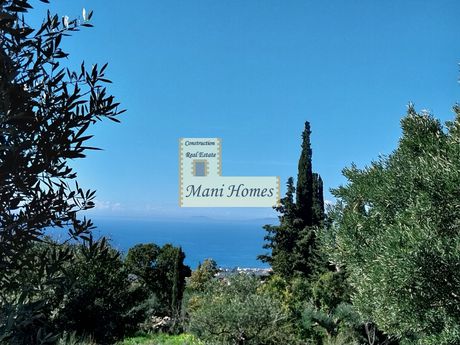 Οικόπεδο 1.330τ.μ. για πώληση-Λεύκτρος » Άνω ρίγκλια