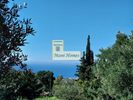 Οικόπεδο 1.330τ.μ. για πώληση-Λεύκτρος » Άνω ρίγκλια