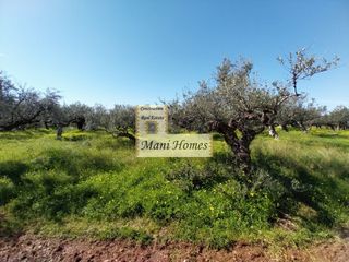 Οικόπεδο 1.788 τ.μ. για πώληση