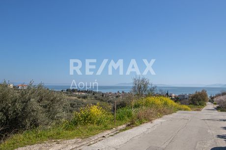 Οικόπεδο 725τ.μ. για πώληση-Νέα αγχίαλος » Κέντρο