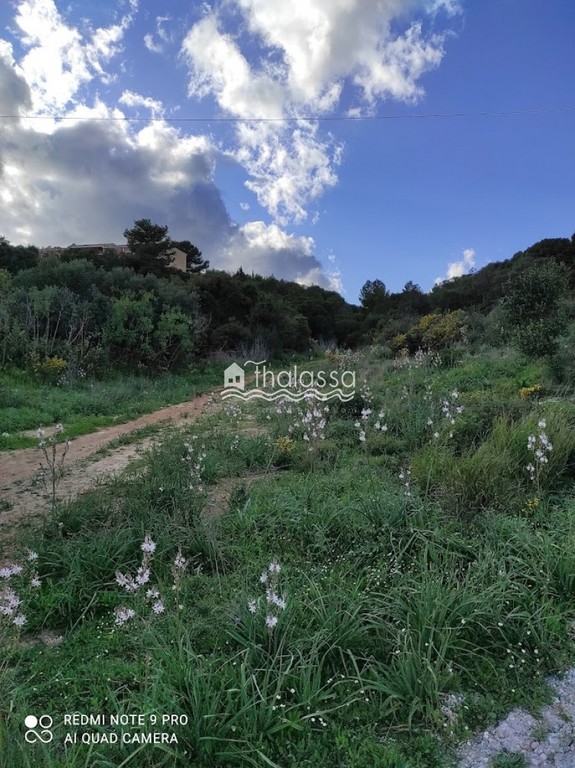 Αγροτεμάχια 9.278 τ.μ. προς πώληση, Λειβαθώ
