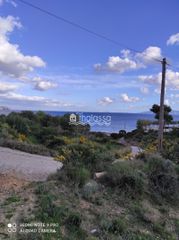 Αγροτεμάχια 9.278 τ.μ. για πώληση