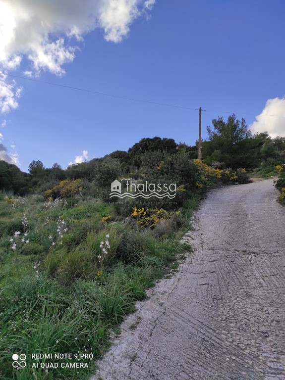 Αγροτεμάχια 9.278 τ.μ. προς πώληση, Λειβαθώ