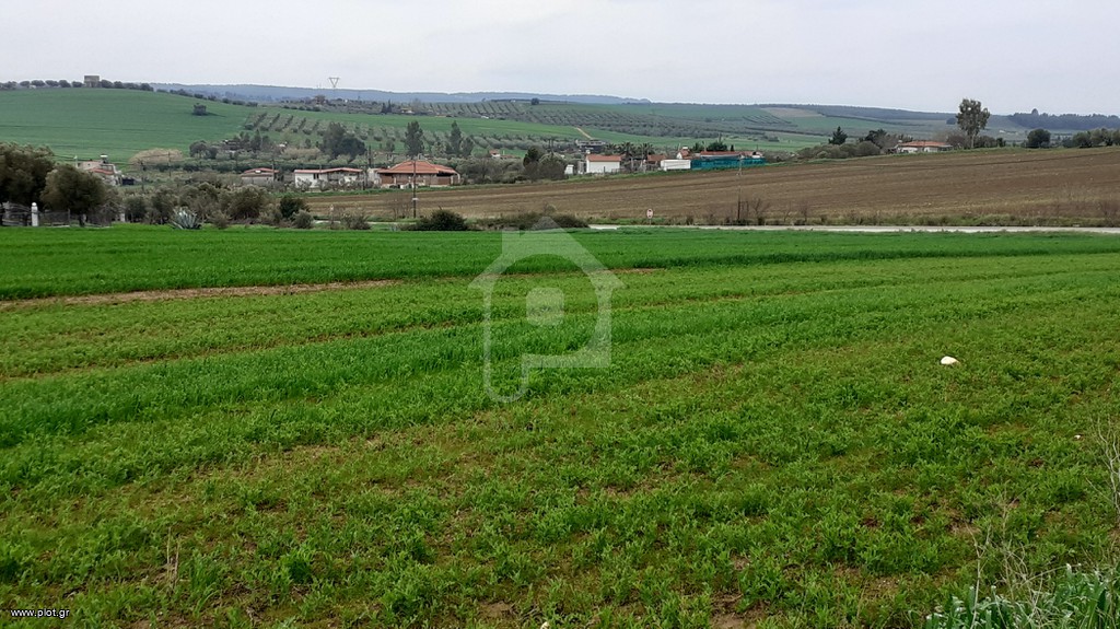Αγροτεμάχια 9.000 τ.μ. προς πώληση, Νέα Ποτίδαια