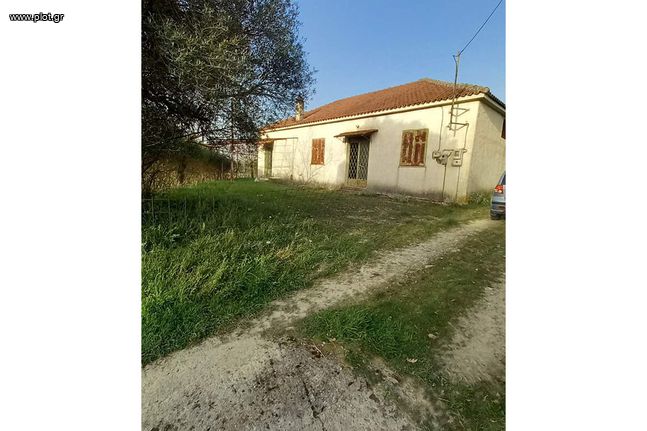 Detached home 60 sqm for rent, Achaia, Tritaia