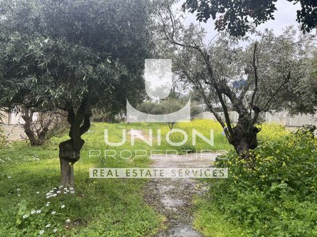 Land plot 1.000sqm for sale-Voula » Pigadakia