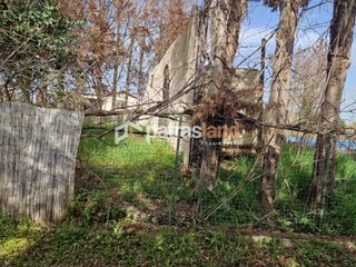 Κατάστημα 110 τ.μ. για ενοικίαση, Ν. Ηλείας, Βαρθολομιό-thumb-22