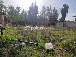 Κατάστημα 110 τ.μ. για ενοικίαση, Ν. Ηλείας, Βαρθολομιό-thumb-15