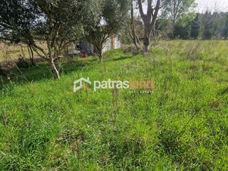 Κατάστημα 110 τ.μ. για ενοικίαση, Ν. Ηλείας, Βαρθολομιό-thumb-16