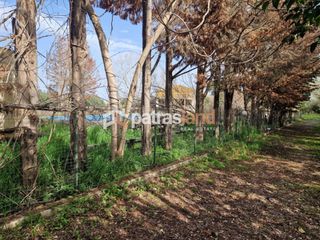 Κατάστημα 110 τ.μ. για ενοικίαση, Ν. Ηλείας, Βαρθολομιό-thumb-11