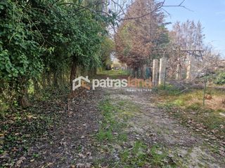 Κατάστημα 110 τ.μ. για ενοικίαση, Ν. Ηλείας, Βαρθολομιό-thumb-21