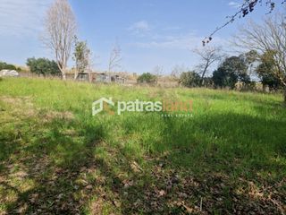 Κατάστημα 110 τ.μ. για ενοικίαση, Ν. Ηλείας, Βαρθολομιό-thumb-18