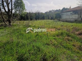 Κατάστημα 110 τ.μ. για ενοικίαση, Ν. Ηλείας, Βαρθολομιό-thumb-14