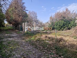 Κατάστημα 110 τ.μ. για ενοικίαση, Ν. Ηλείας, Βαρθολομιό-thumb-12