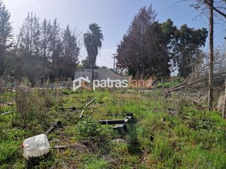 Κατάστημα 110 τ.μ. για ενοικίαση, Ν. Ηλείας, Βαρθολομιό-thumb-19