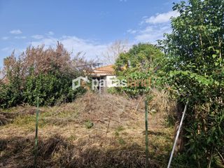 Κατάστημα 110 τ.μ. για ενοικίαση, Ν. Ηλείας, Βαρθολομιό-thumb-13