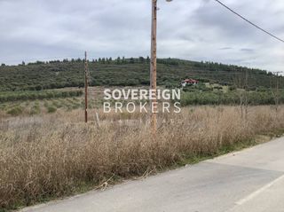 Αγροτεμάχια 27.000 τ.μ. προς πώληση, Βατοπέδι-thumb-2