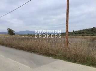 Αγροτεμάχια 27.000 τ.μ. προς πώληση, Βατοπέδι-thumb-7
