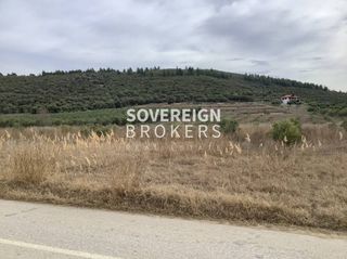 Αγροτεμάχια 27.000 τ.μ. προς πώληση, Βατοπέδι-thumb-1