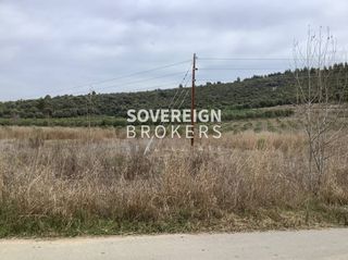 Αγροτεμάχια 27.000 τ.μ. προς πώληση, Βατοπέδι-thumb-3