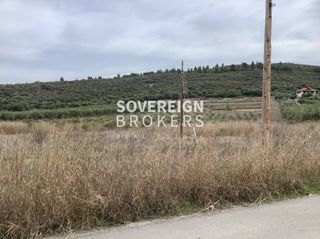 Αγροτεμάχια 27.000 τ.μ. προς πώληση, Βατοπέδι-thumb-6