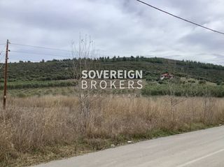 Αγροτεμάχια 27.000 τ.μ. προς πώληση, Βατοπέδι-thumb-5