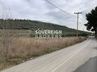 Αγροτεμάχια 27.000 τ.μ. προς πώληση, Βατοπέδι-thumb-8