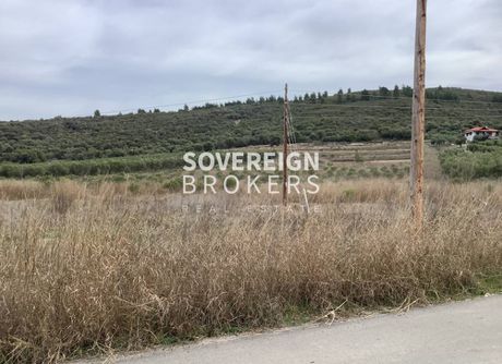 Αγροτεμάχια 27.000 τ.μ. για πώληση