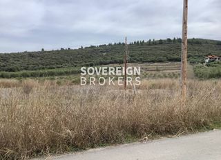 Αγροτεμάχια 27.000 τ.μ. για πώληση