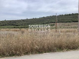 Αγροτεμάχια 27.000 τ.μ. προς πώληση, Βατοπέδι-thumb-4