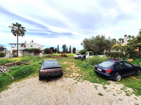Αγροτεμάχια 2.000τ.μ. για ενοικίαση-Ελ. βενιζέλος » Μουρνιές