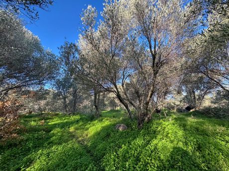 Parcel 2.000sqm for sale-Rethimno » Tria Monastiria