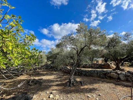 Parcel 6.231sqm for sale-Rethimno » Tria Monastiria