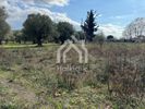 Land plot 5.400sqm for sale-Sithonia » Parthenonas
