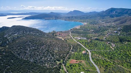 Αγροτεμάχια 5.880τ.μ. για πώληση-Ερμιόνη » Αχλαδίτσα